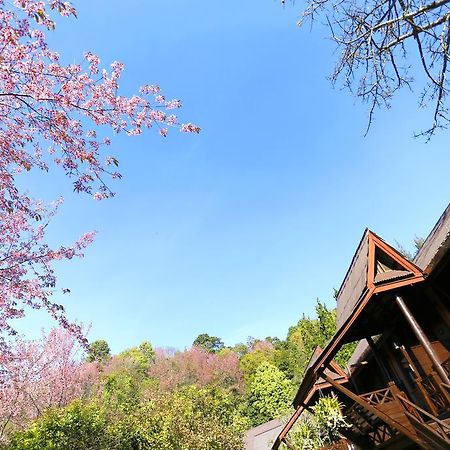 Angkhang Nature Resort Fang Esterno foto