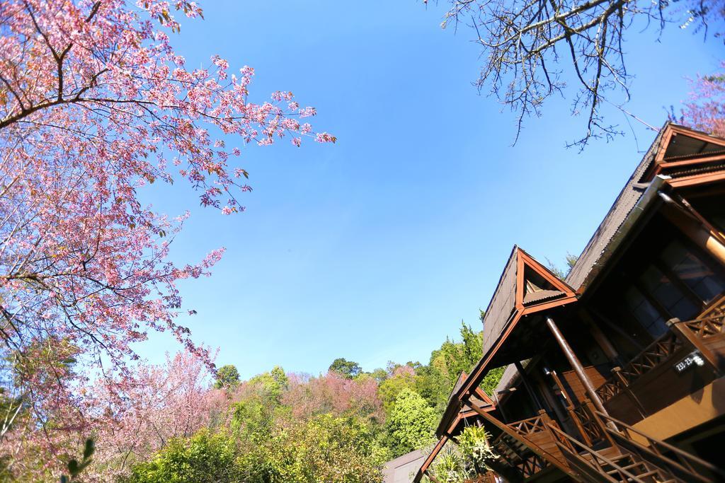Angkhang Nature Resort Fang Esterno foto