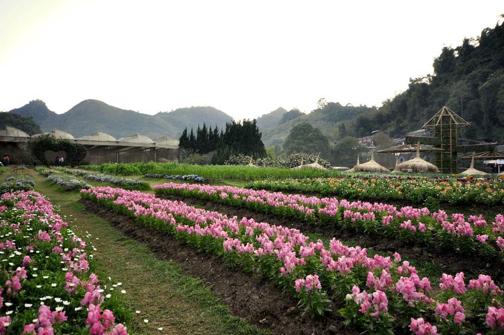 Angkhang Nature Resort Fang Esterno foto